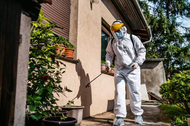 Best Local Pest Control Services  in Palestine, IL