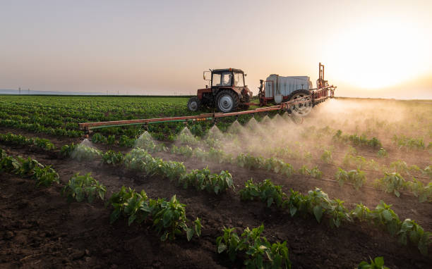 Best Mosquito Control Services  in Palestine, IL