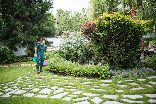 Best Pest Removal Services  in Palestine, IL