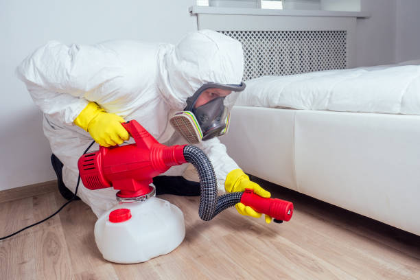 Best Pest Control for Businesses  in Palestine, IL