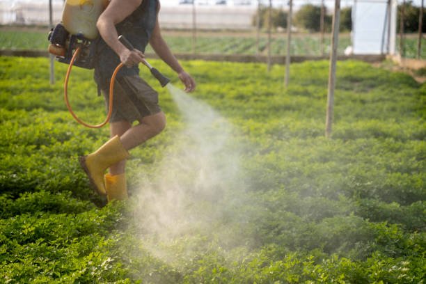 Reliable Palestine, IL Pest Control Solutions