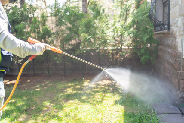 Best Local Pest Control Services  in Palestine, IL