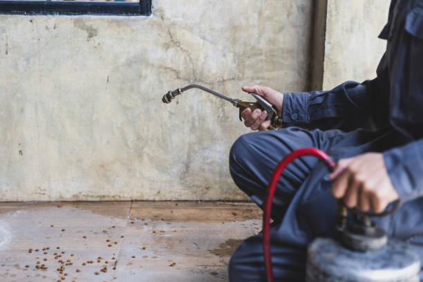 Best Pest Inspection Near Me  in Palestine, IL